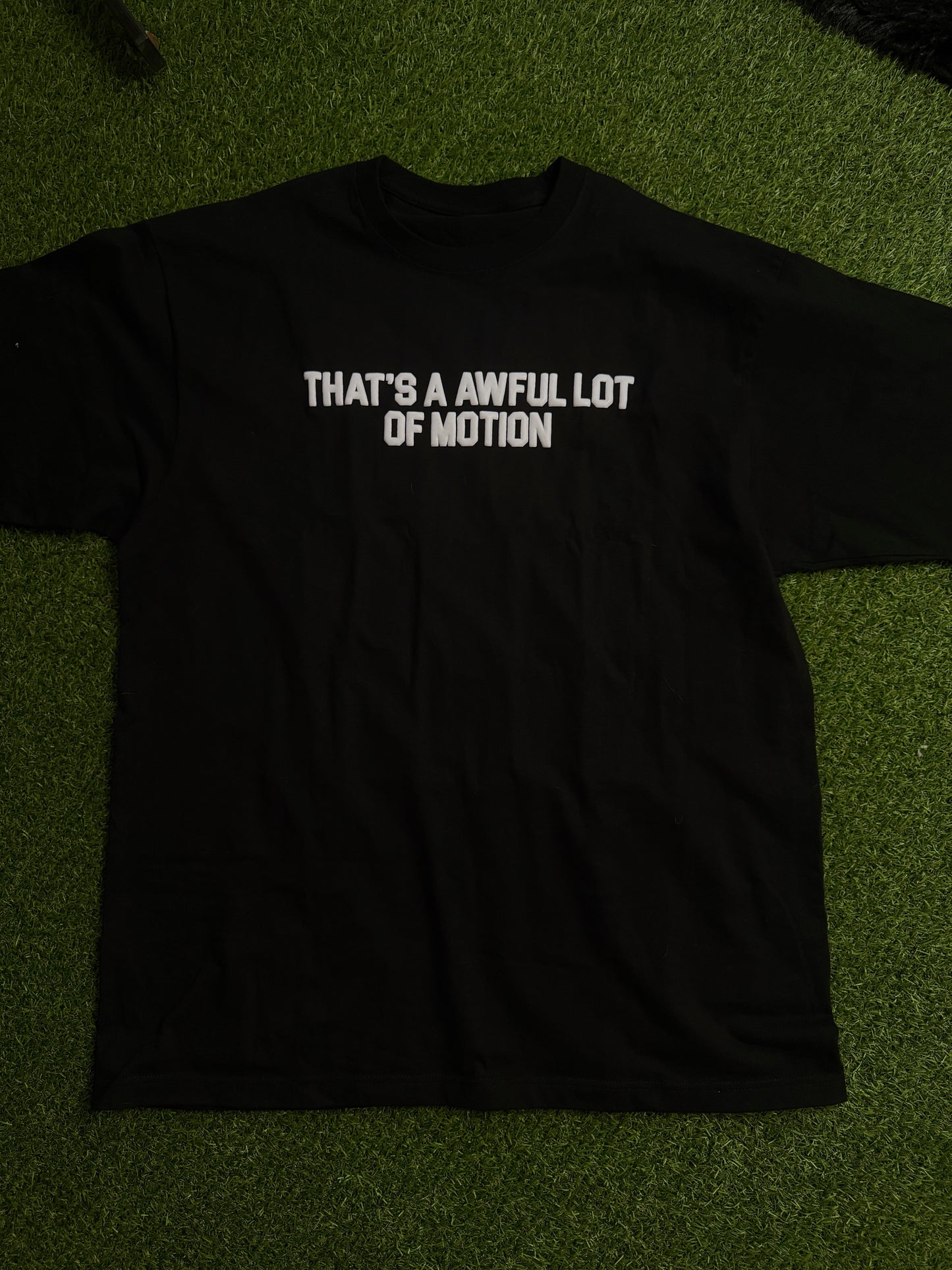 “THAT’S A AWFUL LOT OF MOTION”