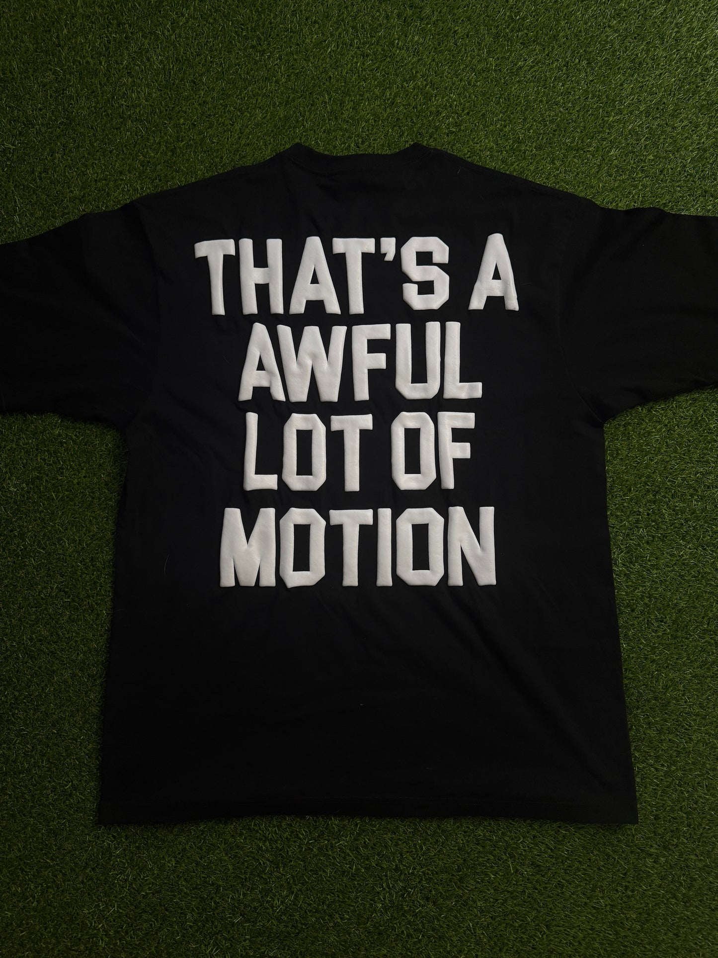 “THAT’S A AWFUL LOT OF MOTION”