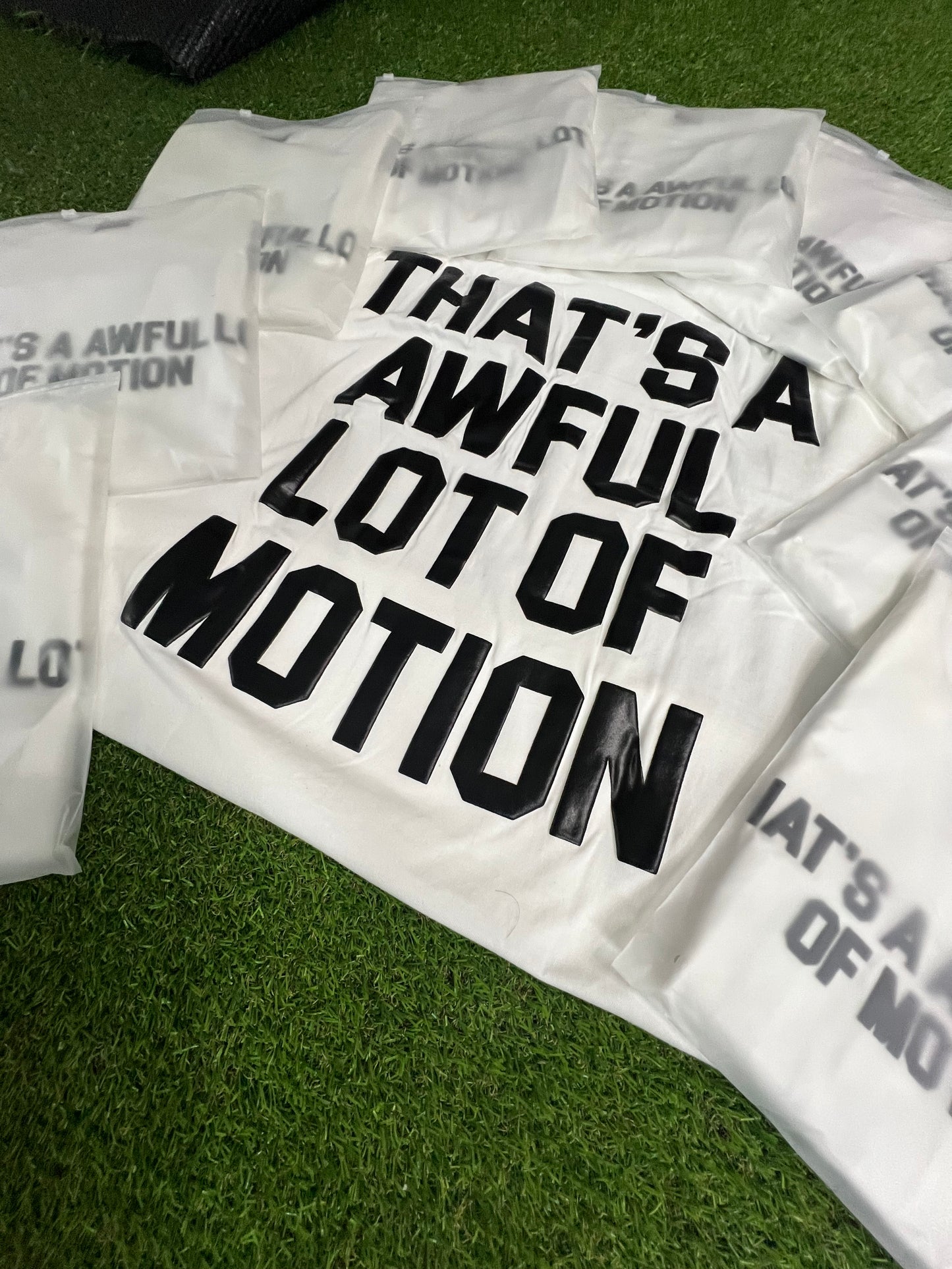 “THAT’S A AWFUL LOT OF MOTION”