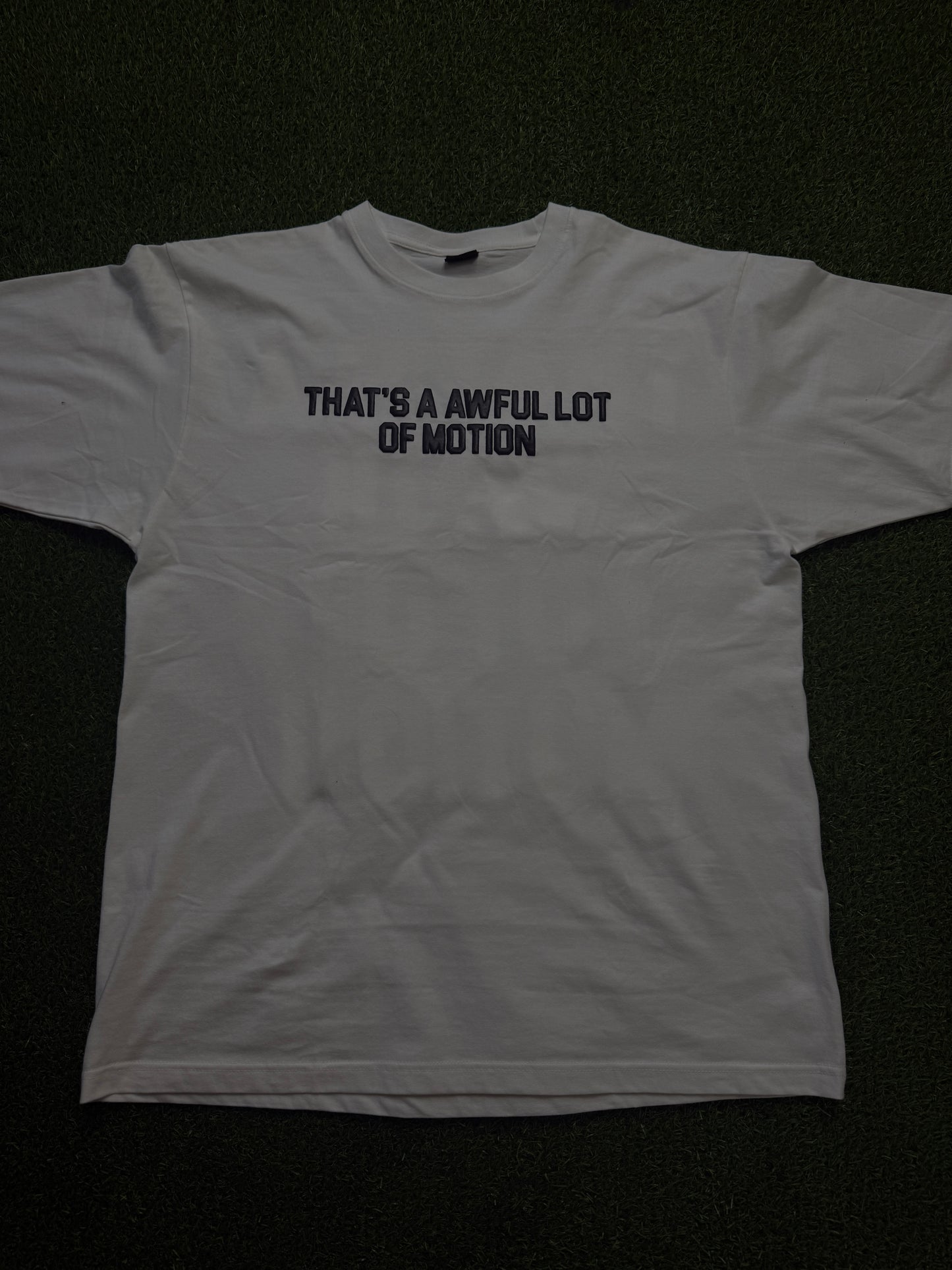 “THAT’S A AWFUL LOT OF MOTION”