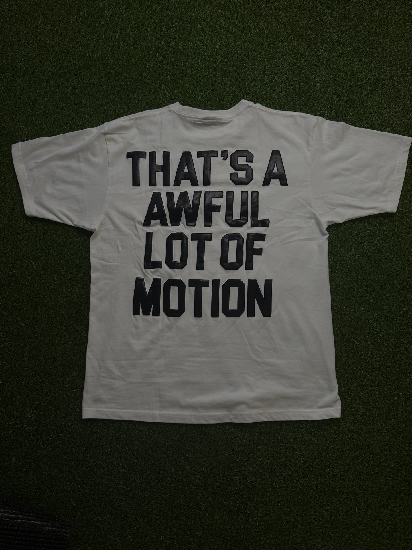 “THAT’S A AWFUL LOT OF MOTION”